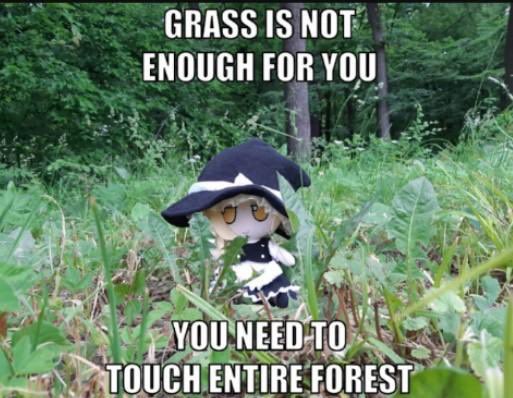 touch-entire-forest.jpg