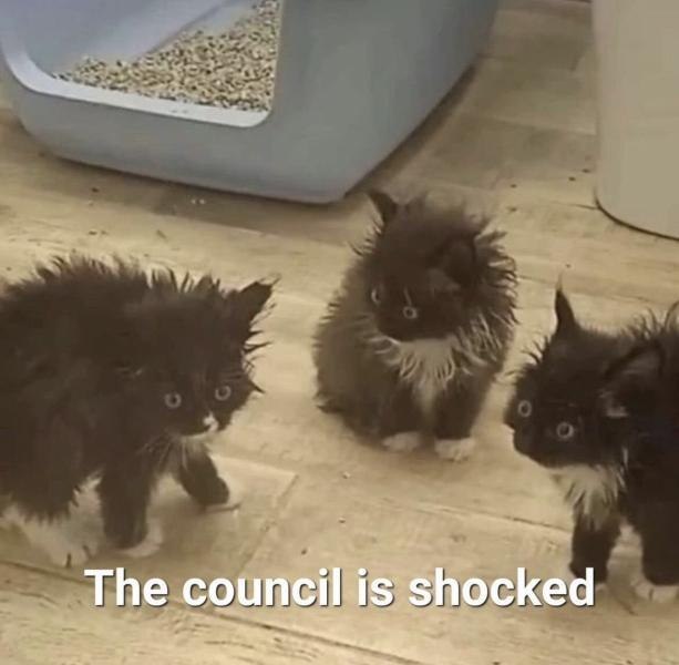 the-council-is-shocked.jpg