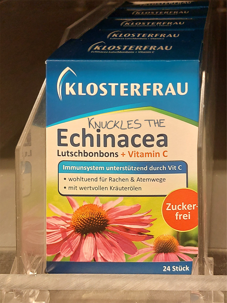 knuckles-the-echinacea.jpg